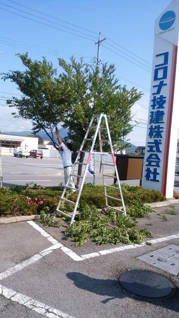 剪定3 剪定3