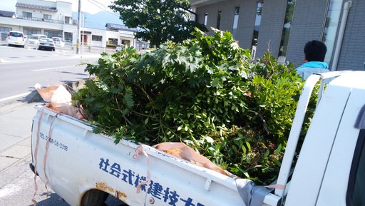 船体5 船体5
