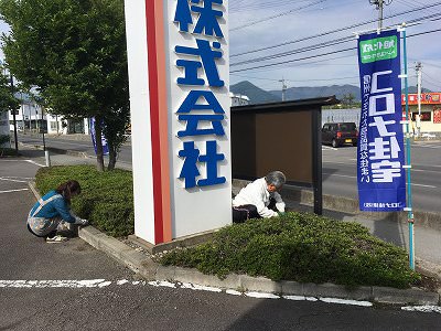 草取り3 草取り3
