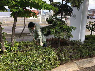 草取り2 草取り2