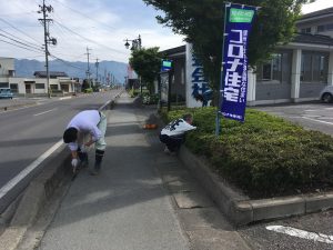 雑草が賑やかになってきたので草取りしました^^