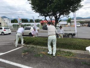 植木の剪定作業をしました