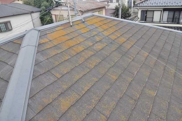 屋根メンテナンスされていますか？
